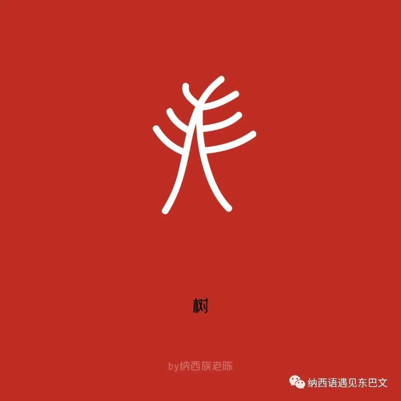 【长廊识字】“树””林“